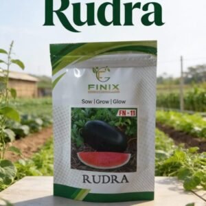 f1 hybrid rudra watermelon seeds