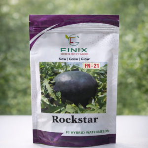 rockstar rainy season watermelon seeds – dark green oval variety | finix genetics pvt ltd