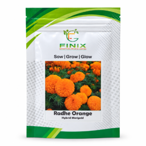 Radhe Orange F1 Hybrid Marigold seed packet featuring bright orange ball-shaped flowers by Finix Genetics