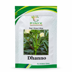 Dhanno Bhindi (Okra) F1 Hybrid Seeds