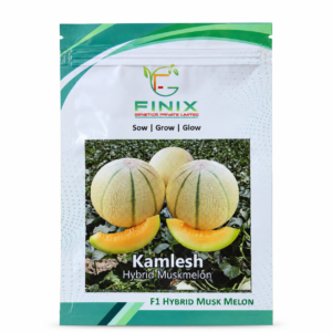 Kamlesh F1 Hybrid Muskmelon Seeds packet