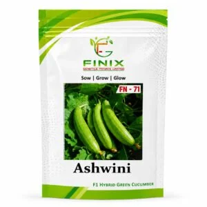 cucumber-seeds-packet.jpgAshwini F1 Hybrid Cucumber Seeds packet by Finix Genetics