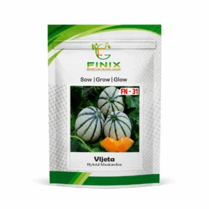 Vijeta F1 Hybrid Muskmelon Seeds