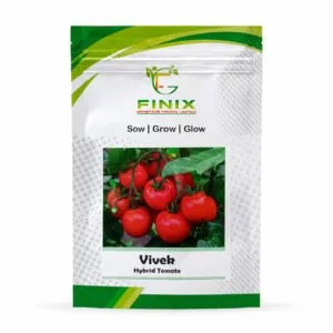 Manikantha Hybrid Tomato Seeds packet by Finix Genetics